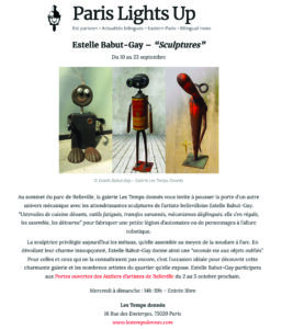 P4-Article-estellebabut-gay_Paris 2020